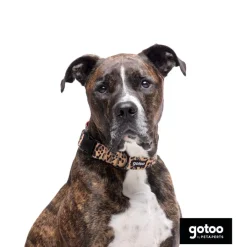 Gotoo Collar estampado leopardo para perros Best