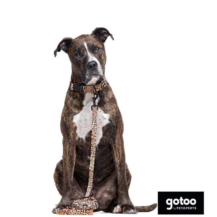 Gotoo Collar estampado leopardo para perros Best