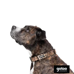 Gotoo Collar estampado leopardo para perros Best