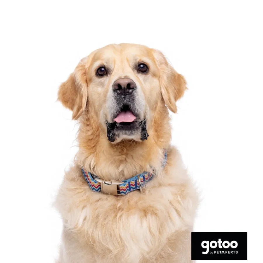 Gotoo Collar estampado rayas zig-zag para perros Online