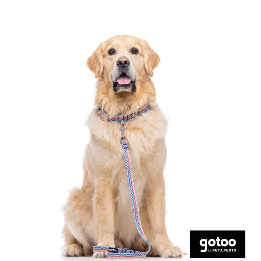 Gotoo Collar estampado rayas zig-zag para perros Online
