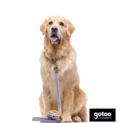 Gotoo Collar estampado rayas zig-zag para perros Online