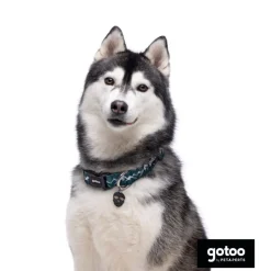 Gotoo Collar estampado verde para perros