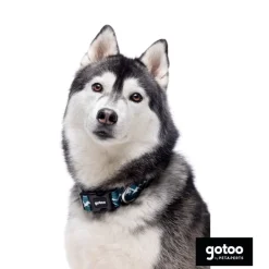 Gotoo Collar estampado verde para perros