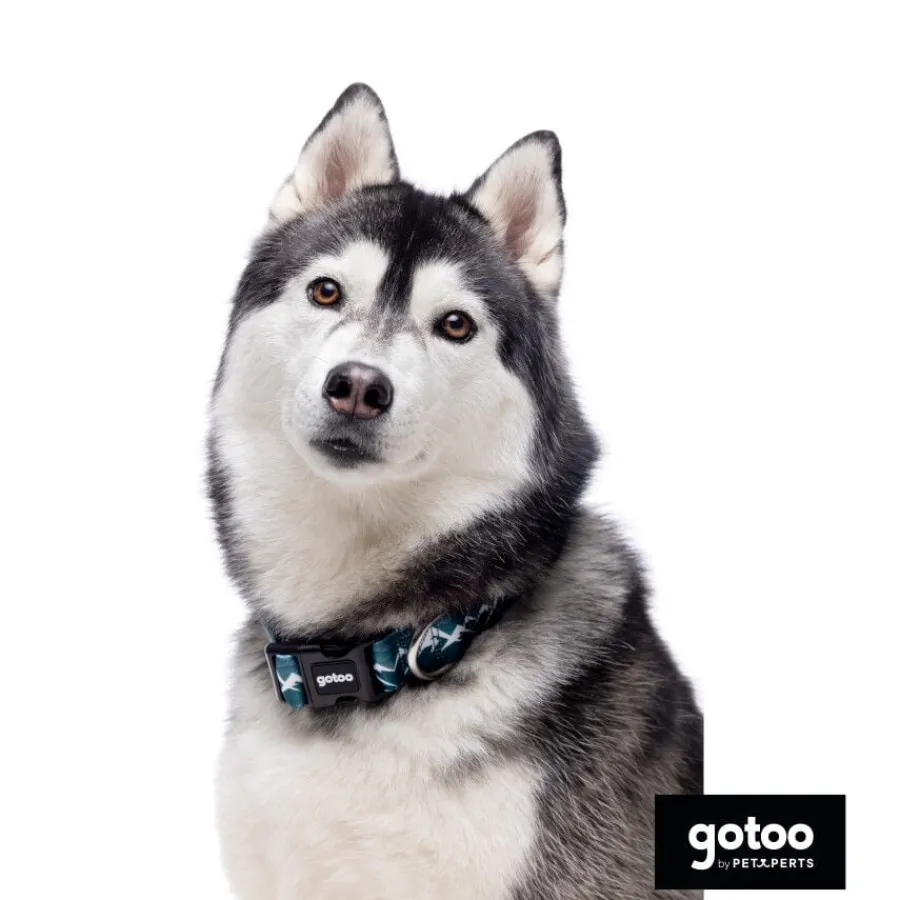 Gotoo Collar estampado verde para perros