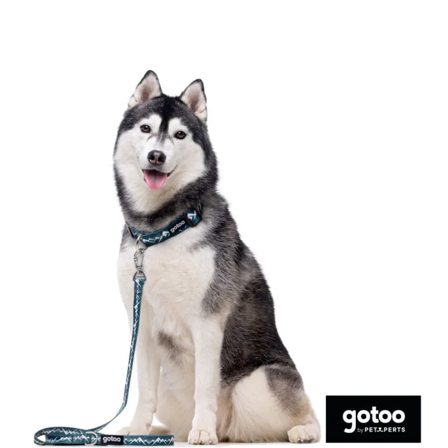 Gotoo Collar estampado verde para perros