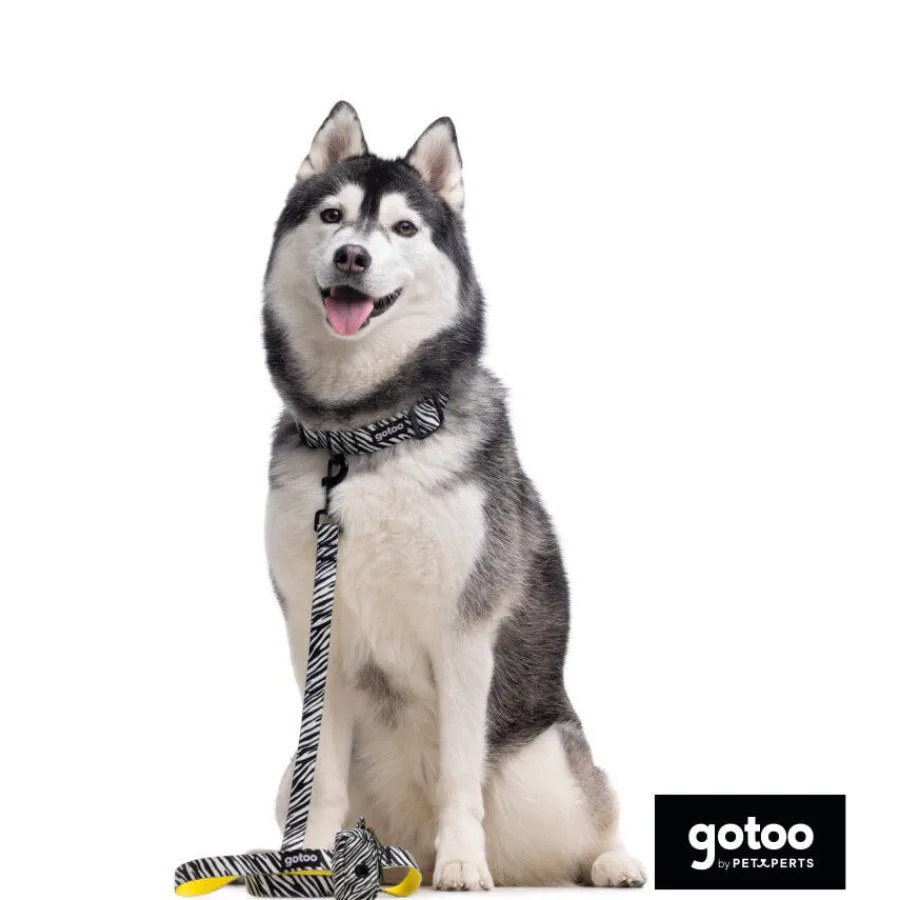 Gotoo Collar estampado zebra para perros Outlet