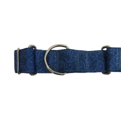 Gotoo Collar martingale estampado azul para perros