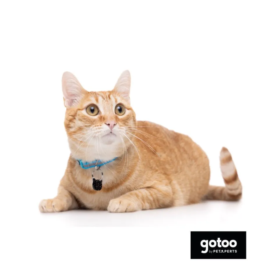 Gotoo Collar reflectante azul para gatos Sale