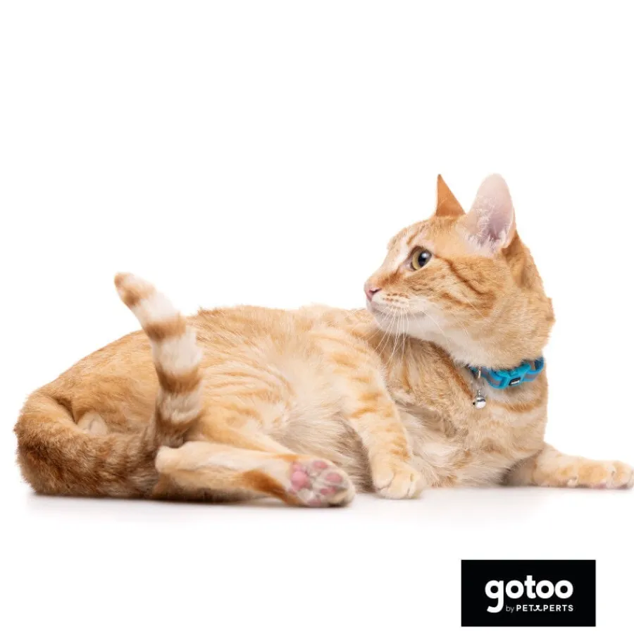 Gotoo Collar reflectante azul para gatos Sale