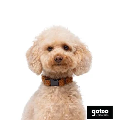 Gotoo Collar teddy marrón para perros Outlet
