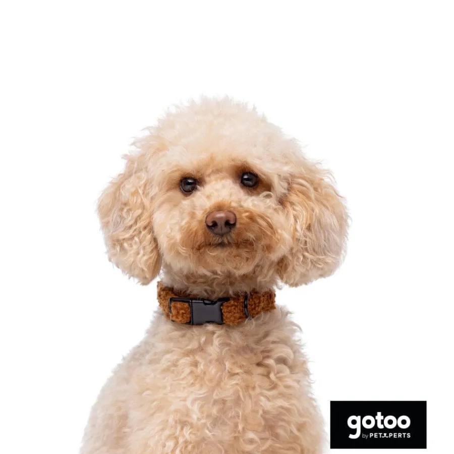 Gotoo Collar teddy marrón para perros Outlet