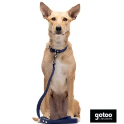 Gotoo Correa Biothane azul para perros Hot