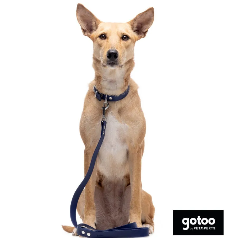 Gotoo Correa Biothane azul para perros Hot