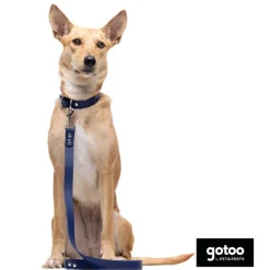 Gotoo Correa Biothane azul para perros Hot