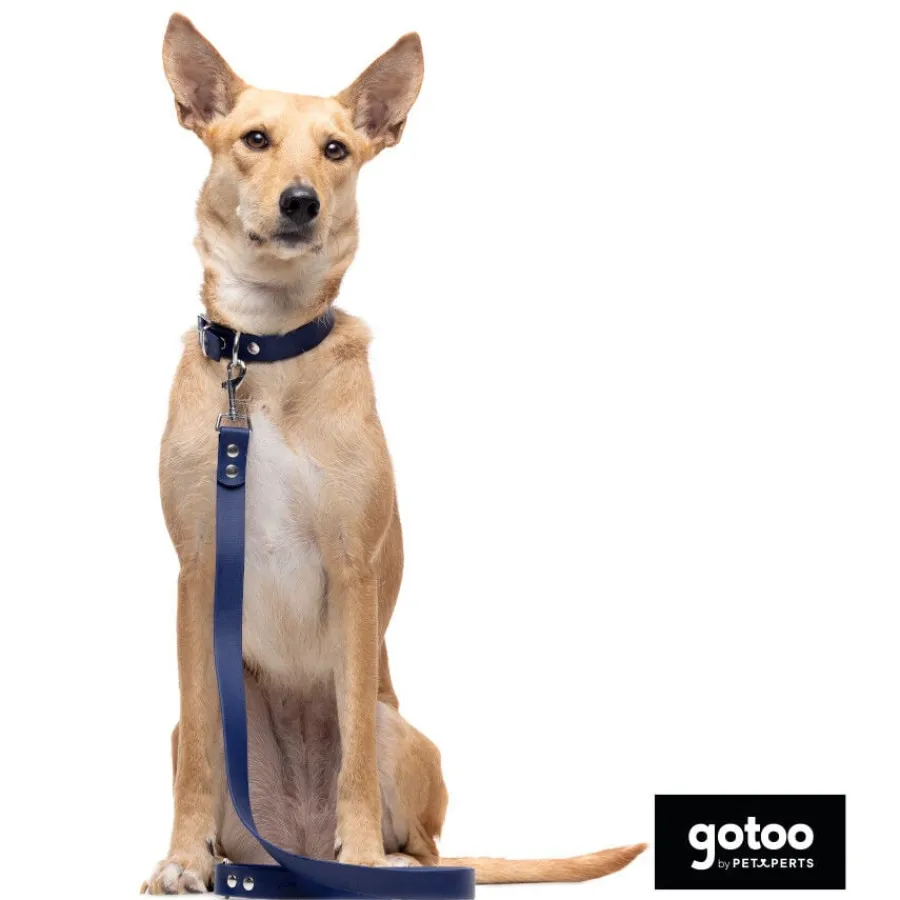 Gotoo Correa Biothane azul para perros Hot