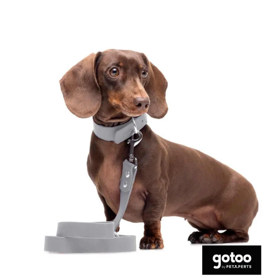 Gotoo Correa Biothane gris para perros Best