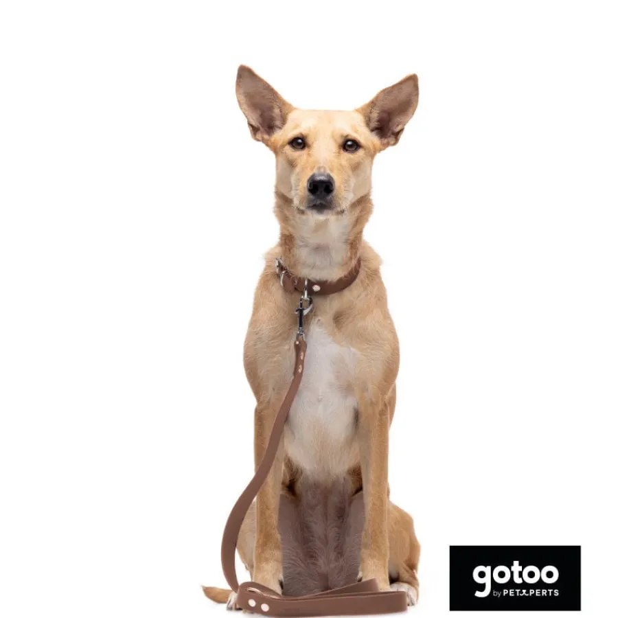Gotoo Correa Biothane marrón para perros Sale