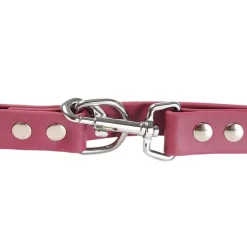 Gotoo Correa Biothane roja vino para perros Sale