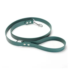 Gotoo Correa Biothane verde para perros