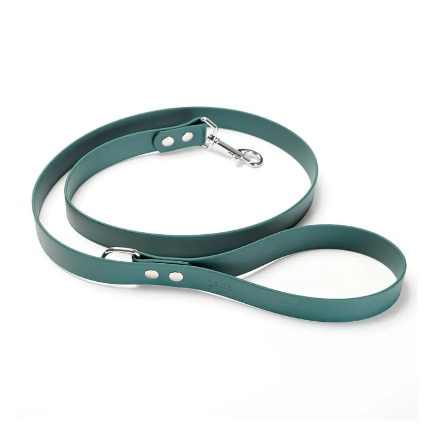 Gotoo Correa Biothane verde para perros