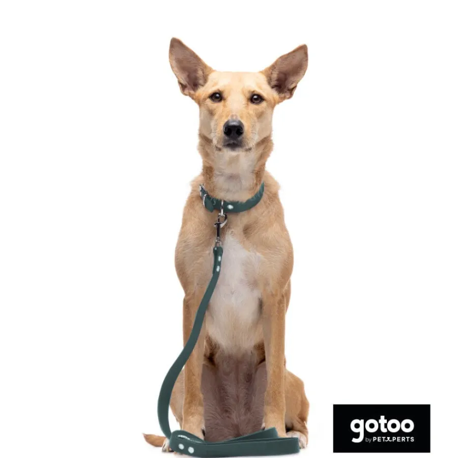 Gotoo Correa Biothane verde para perros