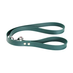 Gotoo Correa Biothane verde para perros