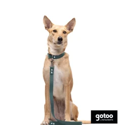 Gotoo Correa Biothane verde para perros