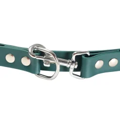 Gotoo Correa Biothane verde para perros