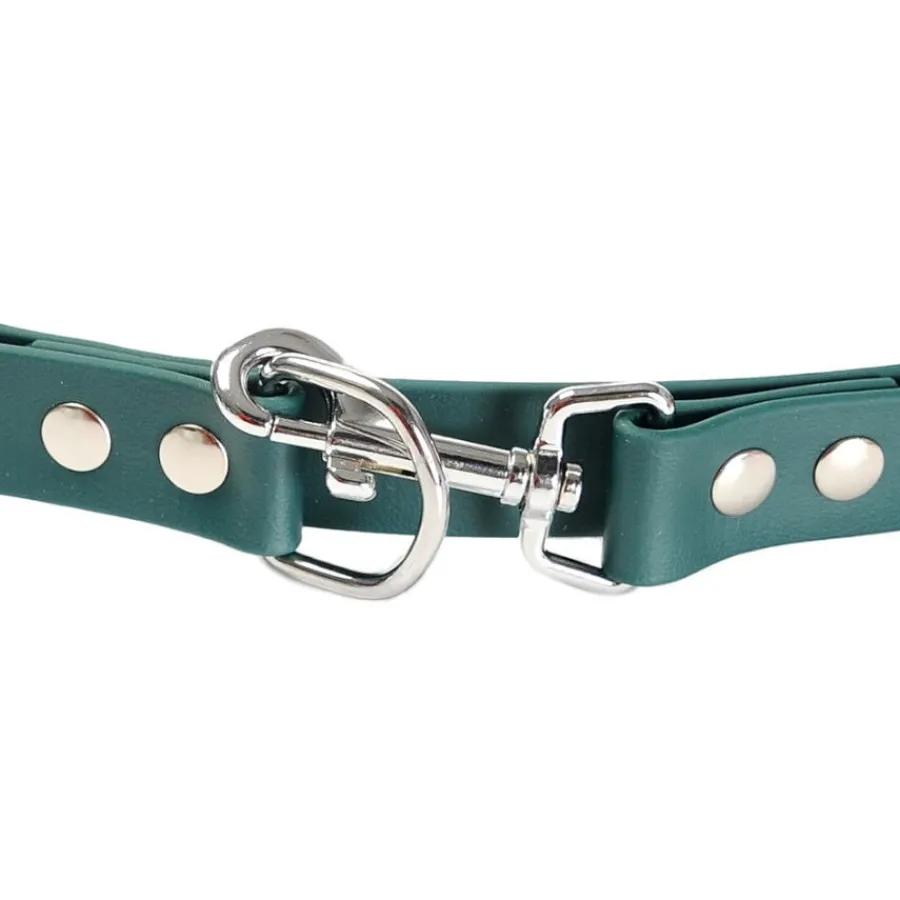 Gotoo Correa Biothane verde para perros