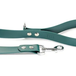 Gotoo Correa Biothane verde para perros