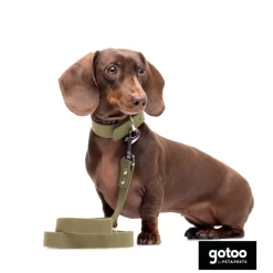 Gotoo Correa Biothane verde oliva para perros New