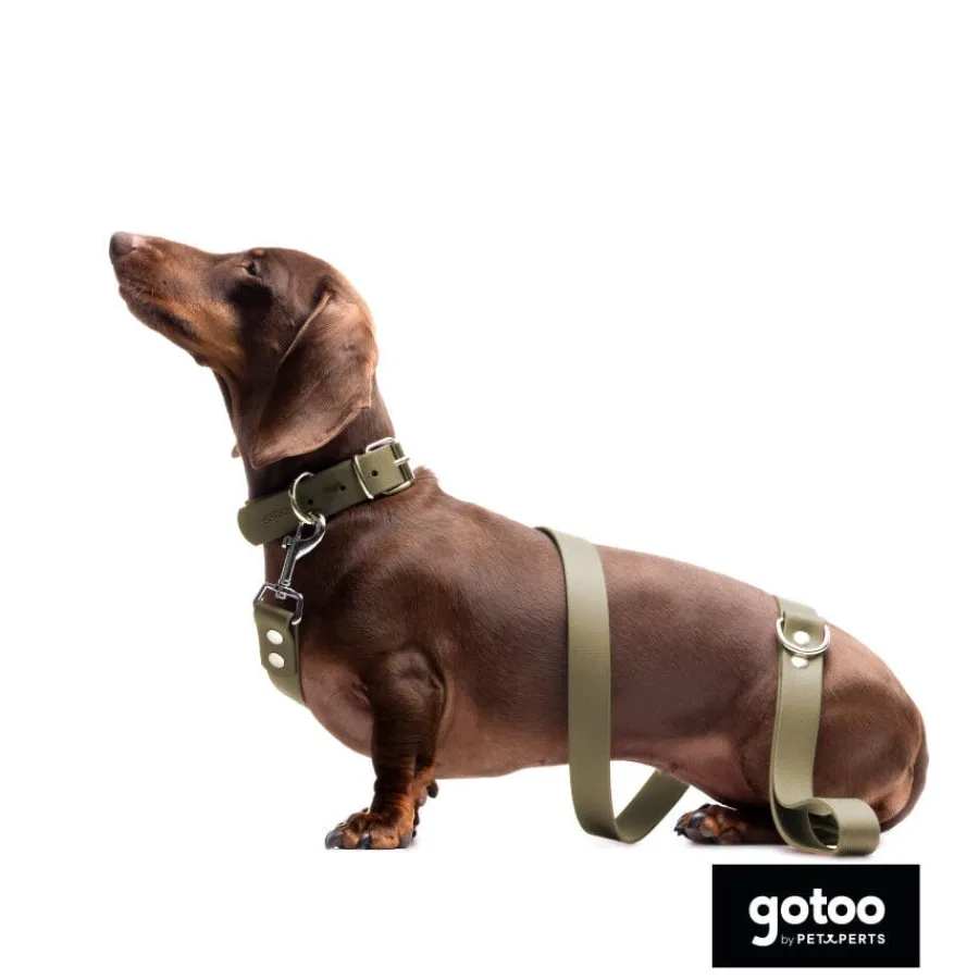 Gotoo Correa Biothane verde oliva para perros New