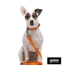 Gotoo Correa de nylon reflectante naranja para perros