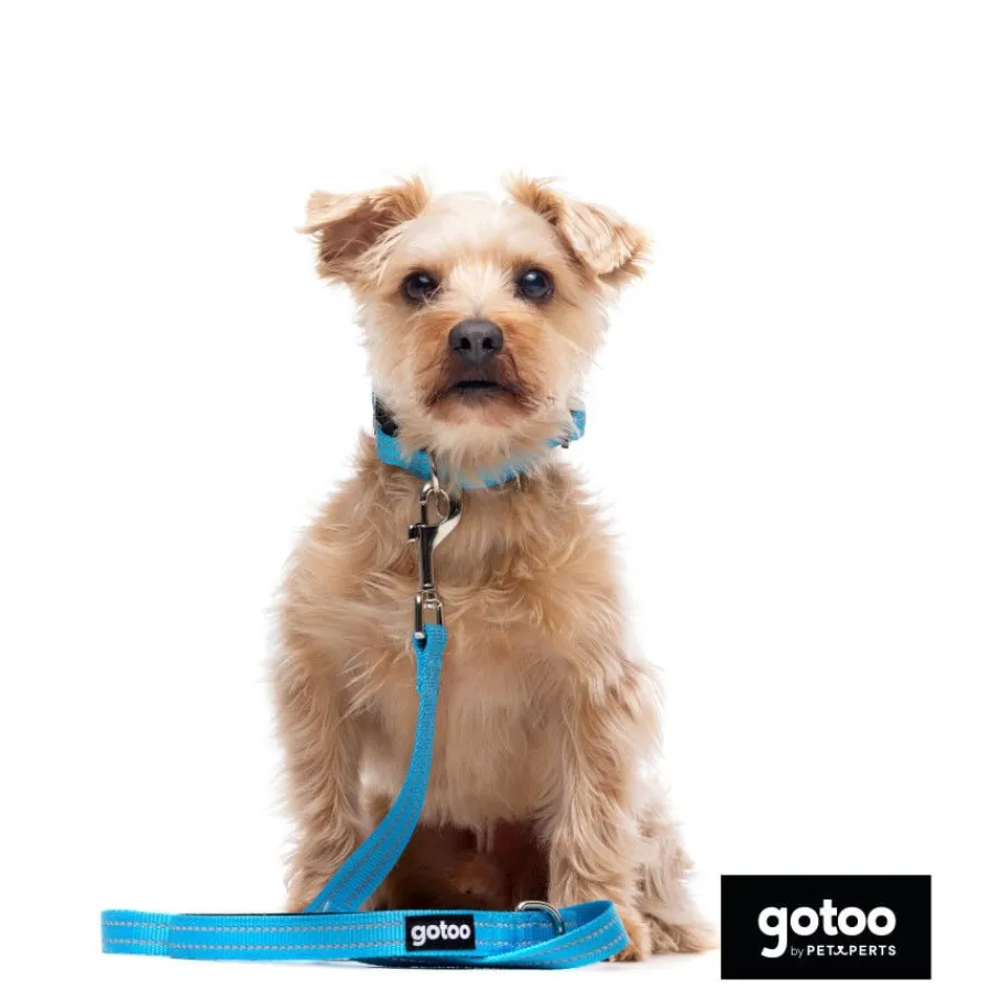 Gotoo Correa de nylon reflectante azul para perros Outlet