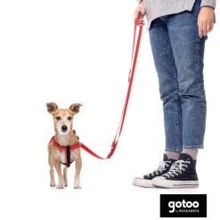 Gotoo Correa de nylon roja reflectante para perros Sale