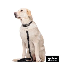 Gotoo Correa doble de nylon negra para perros Hot