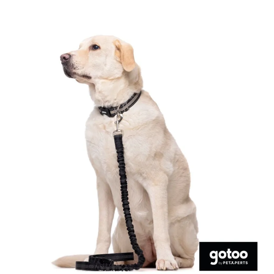 Gotoo Correa doble de nylon negra para perros Hot