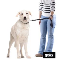 Gotoo Correa doble de nylon negra para perros Hot