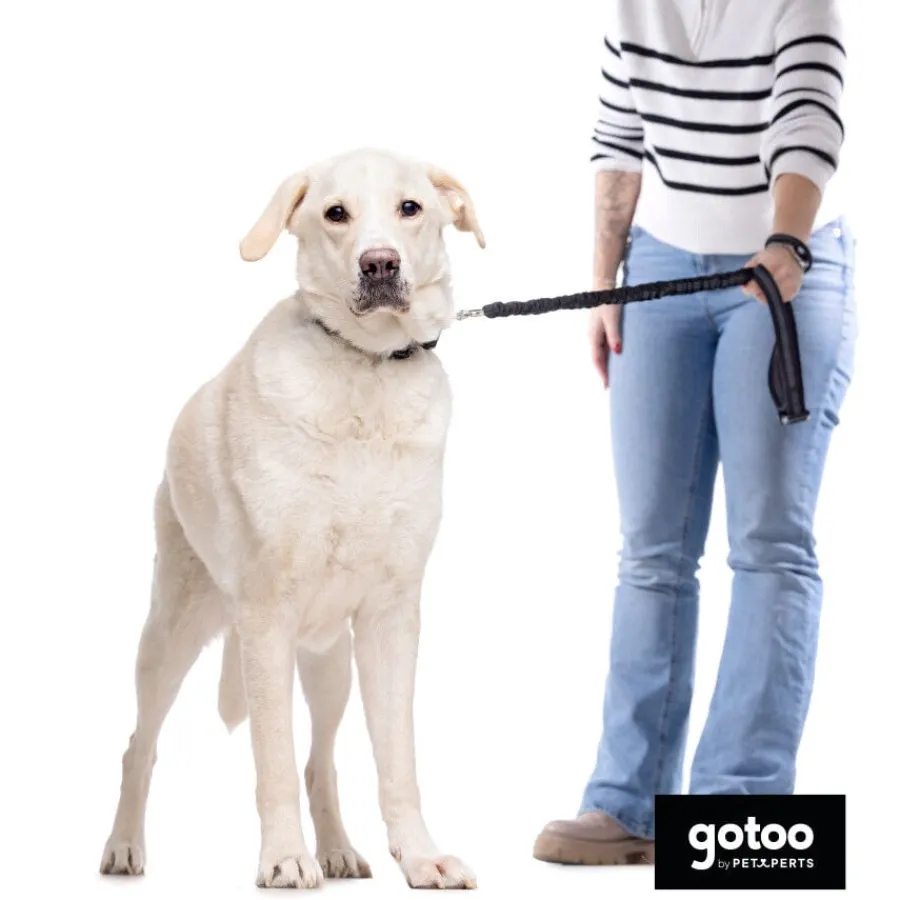 Gotoo Correa doble de nylon negra para perros Hot