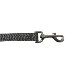 Gotoo Correa espiga gris para perros New