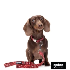 Gotoo Correa estampada cachemira rojo para perro Outlet