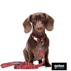 Gotoo Correa estampada cachemira rojo para perro Outlet