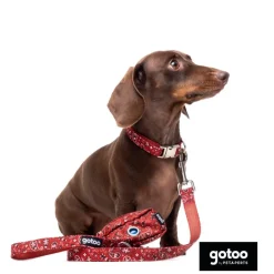 Gotoo Correa estampada cachemira rojo para perro Outlet