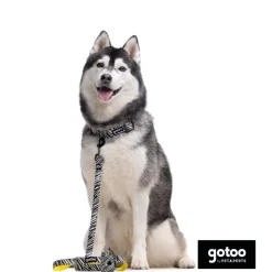 Gotoo Correa estampada zebra para perros Hot