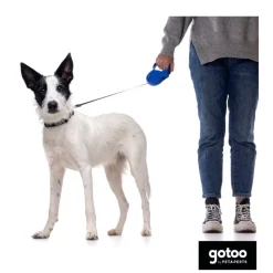 Gotoo Correa extensible azul para perros Sale