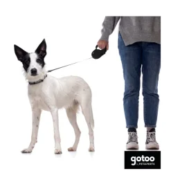 Gotoo Correa extensible negra para perros Outlet