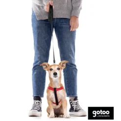 Gotoo Correa extensible negra para perros Outlet