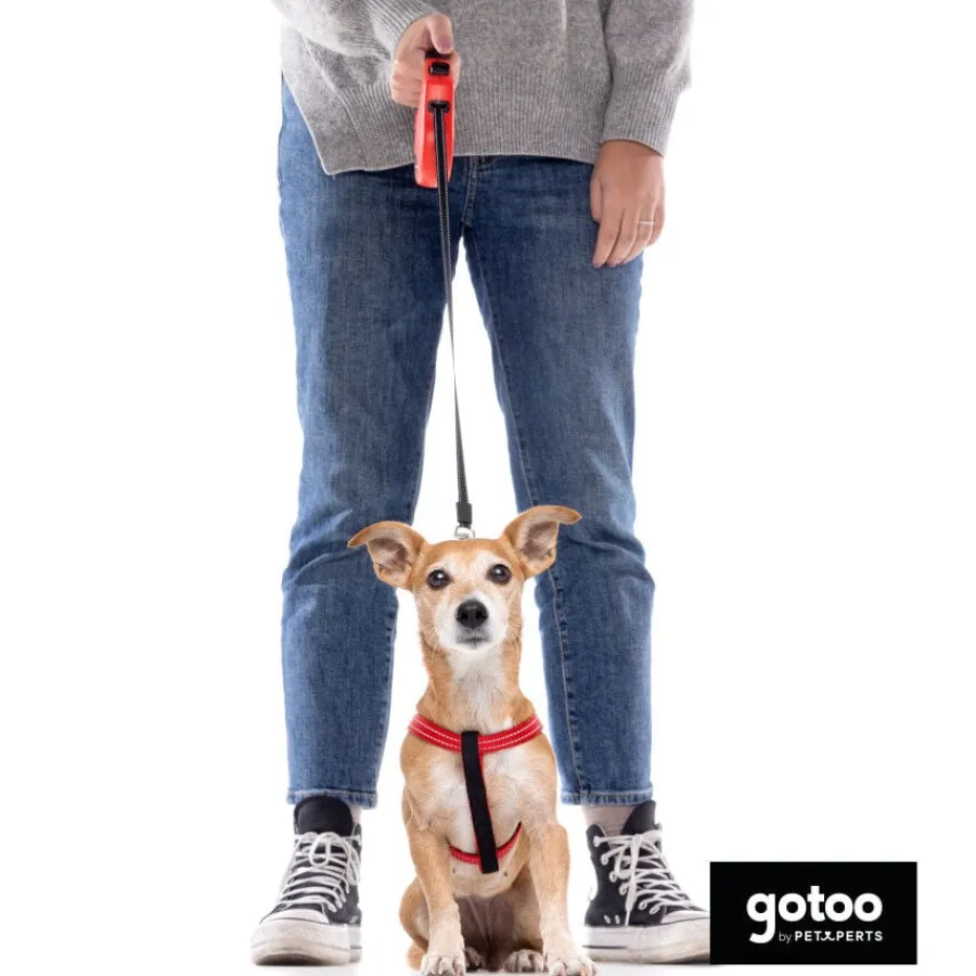 Gotoo Correa extensible roja para perros Outlet