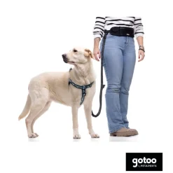 Gotoo Correa manos libres negra para perros Outlet